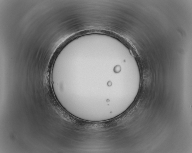 X0000115270879200911131805