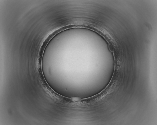 X0000115270880200911131805