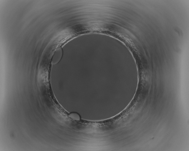 X0000115270881200911131805