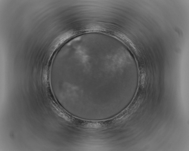 X0000115270882200911131805