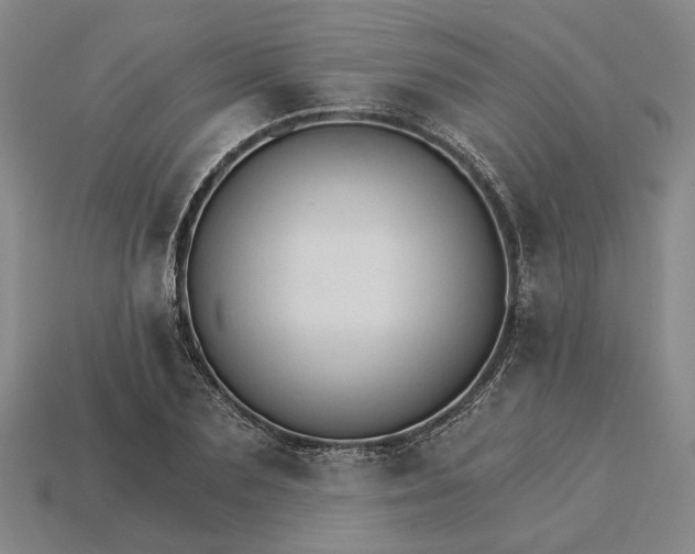 X0000115270883200911131805