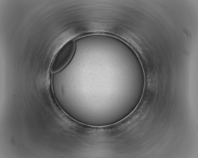 X0000115270885200911131805