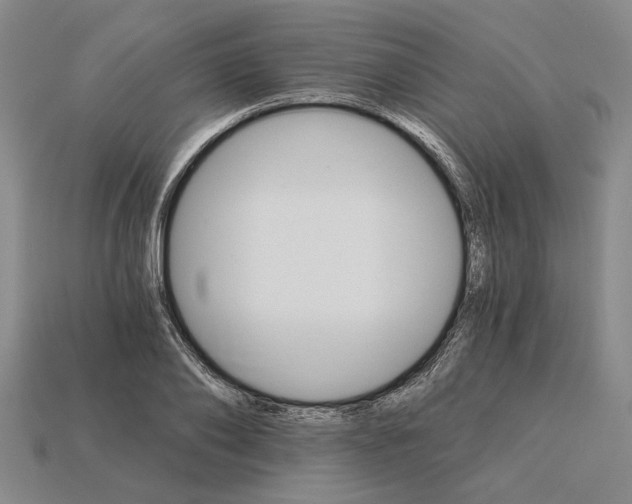 X0000115270886200911131805