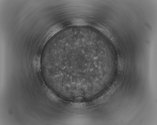 X0000115270889200911131805