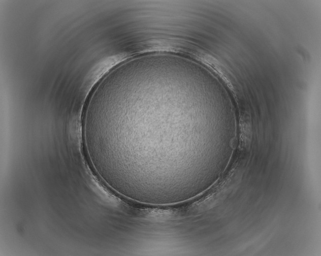 X0000115270890200911131805