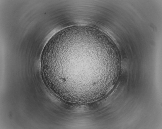 X0000115270891200911131805
