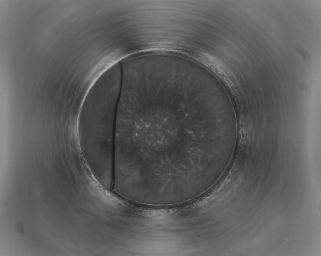 X0000115270892200911131805