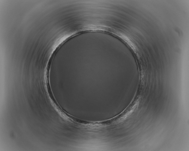 X0000115270893200911131805