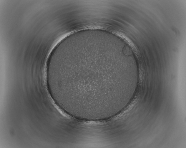 X0000115270894200911131805