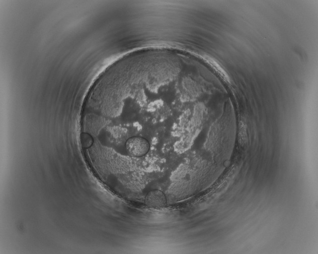 X0000115270895200911131805