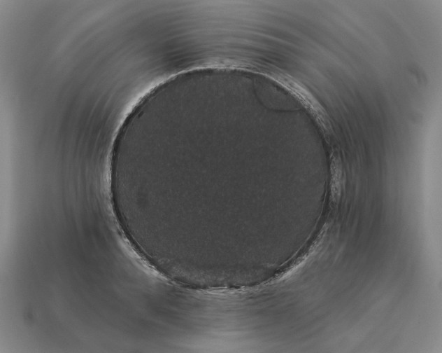 X0000115270896200911131805