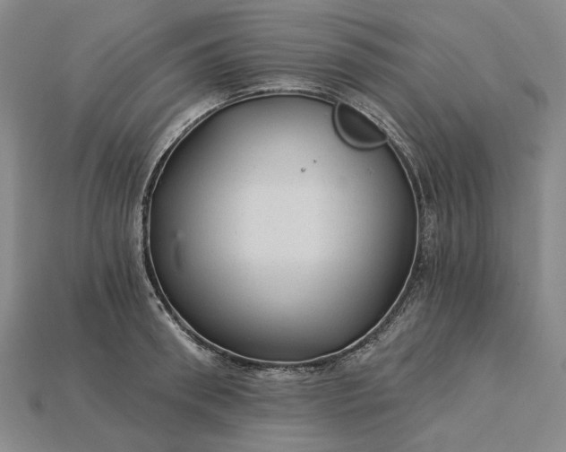 X0000115270898200911131805