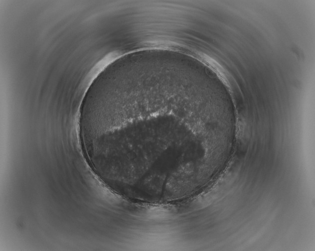 X0000115270899200911131805