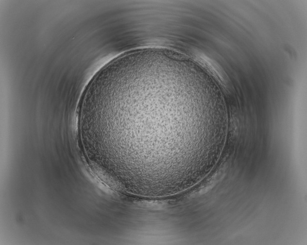 X0000115270900200911131805