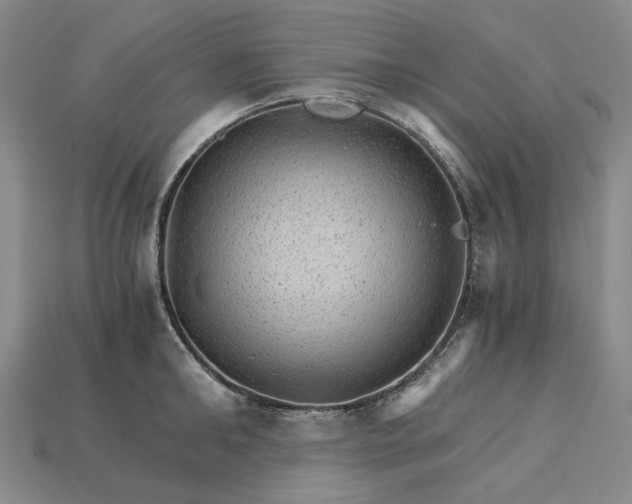 X0000115270902200911131805