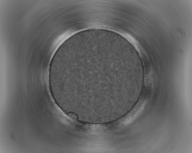 X0000115270903200911131805
