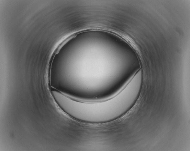 X0000115270904200911131805
