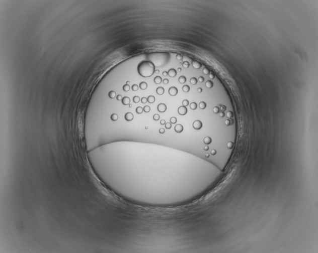 X0000115270905200911131805