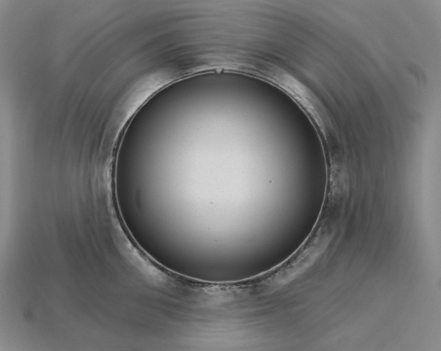 X0000115270906200911131805
