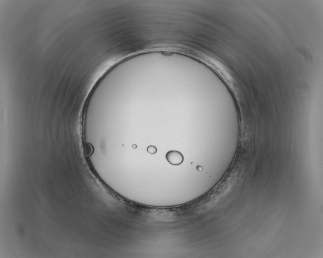 X0000115270907200911131805