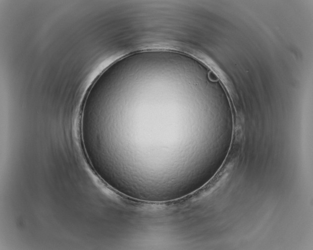 X0000115270909200911131805