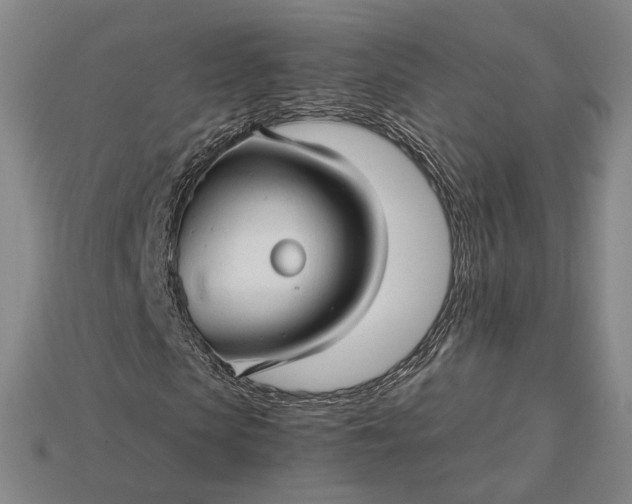 X0000115270913200911131804