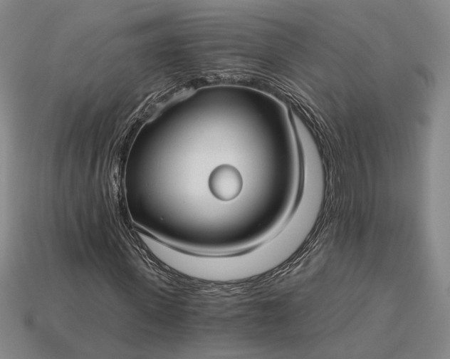 X0000115270915200911131804