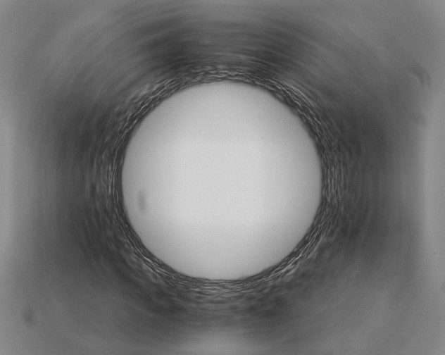 X0000115270917200911131804
