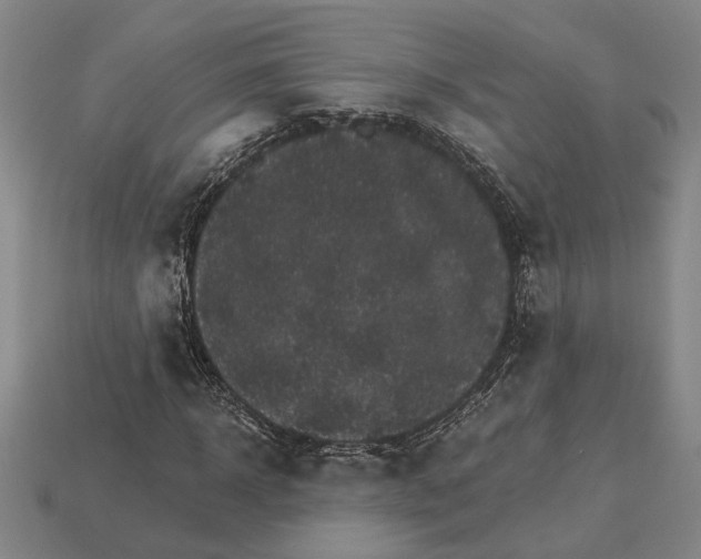 X0000115270918200911131804