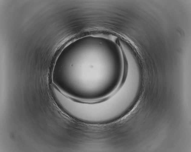 X0000115270921200911131804