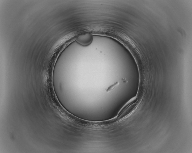 X0000115270922200911131804