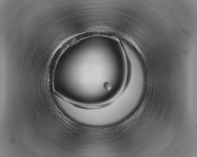 X0000115270923200911131804