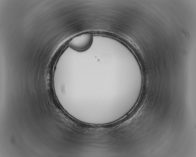 X0000115270926200911131804