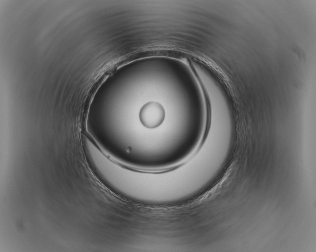 X0000115270929200911131804