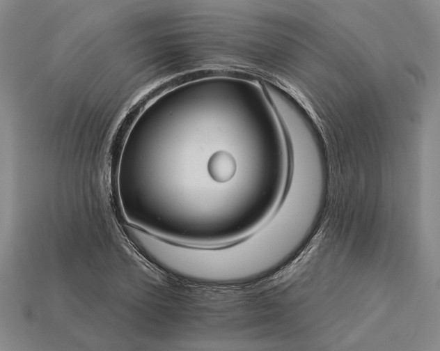 X0000115270931200911131804