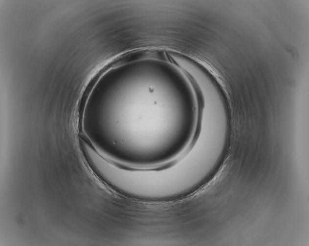X0000115270933200911131804