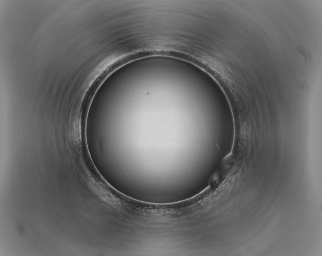 X0000115270934200911131804