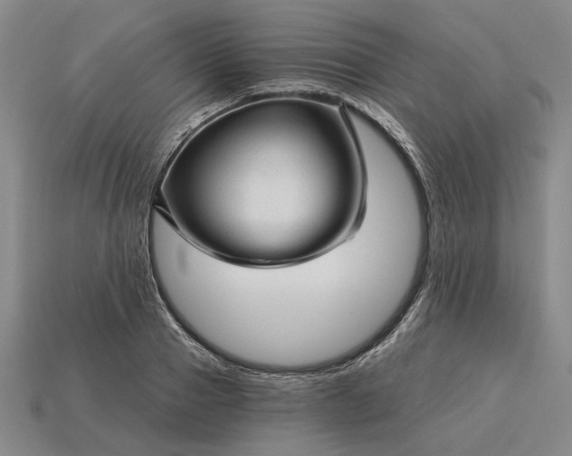 X0000115270937200911131804
