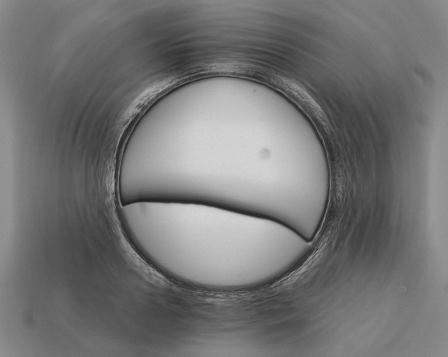 X0000115270938200911131804