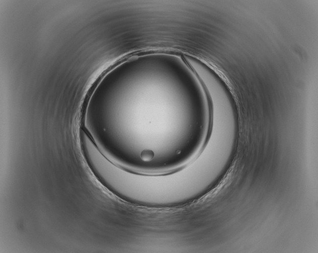 X0000115270941200911131804