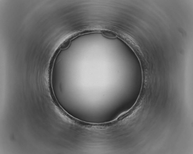 X0000115270942200911131804