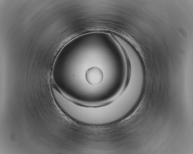 X0000115270945200911131804