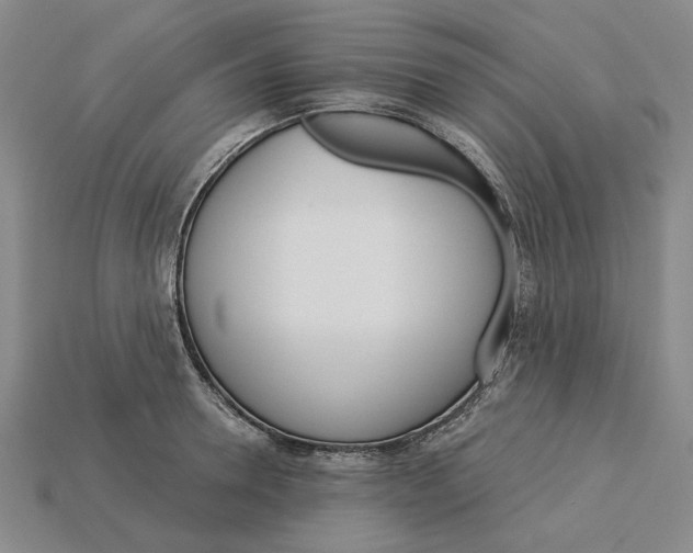 X0000115270946200911131804