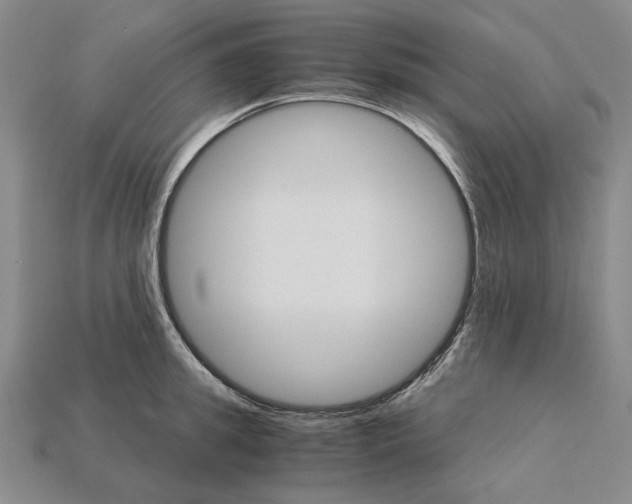 X0000115270949200911131805