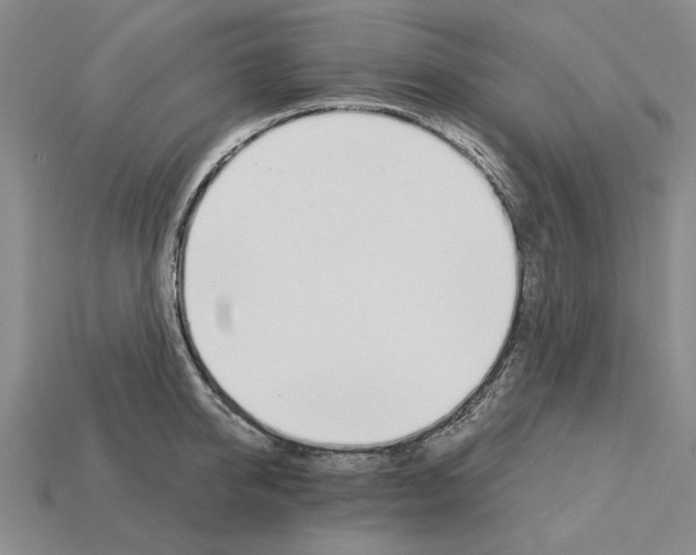 X0000115270950200911131805