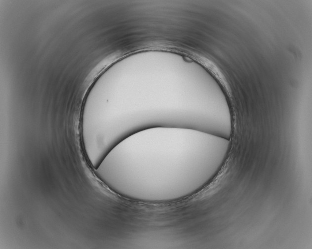 X0000115270954200911131805