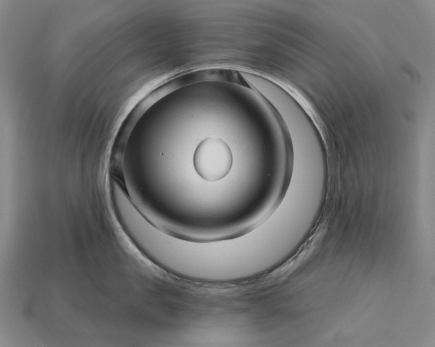 X0000115270957200911131805