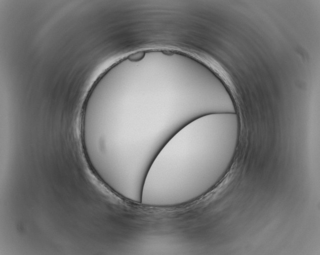 X0000115270958200911131805
