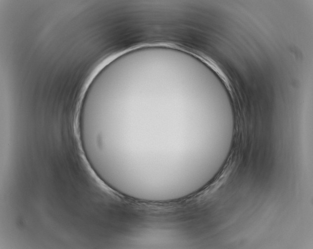X0000115270959200911131805