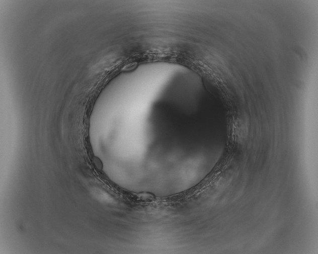 X0000115270961200911131804